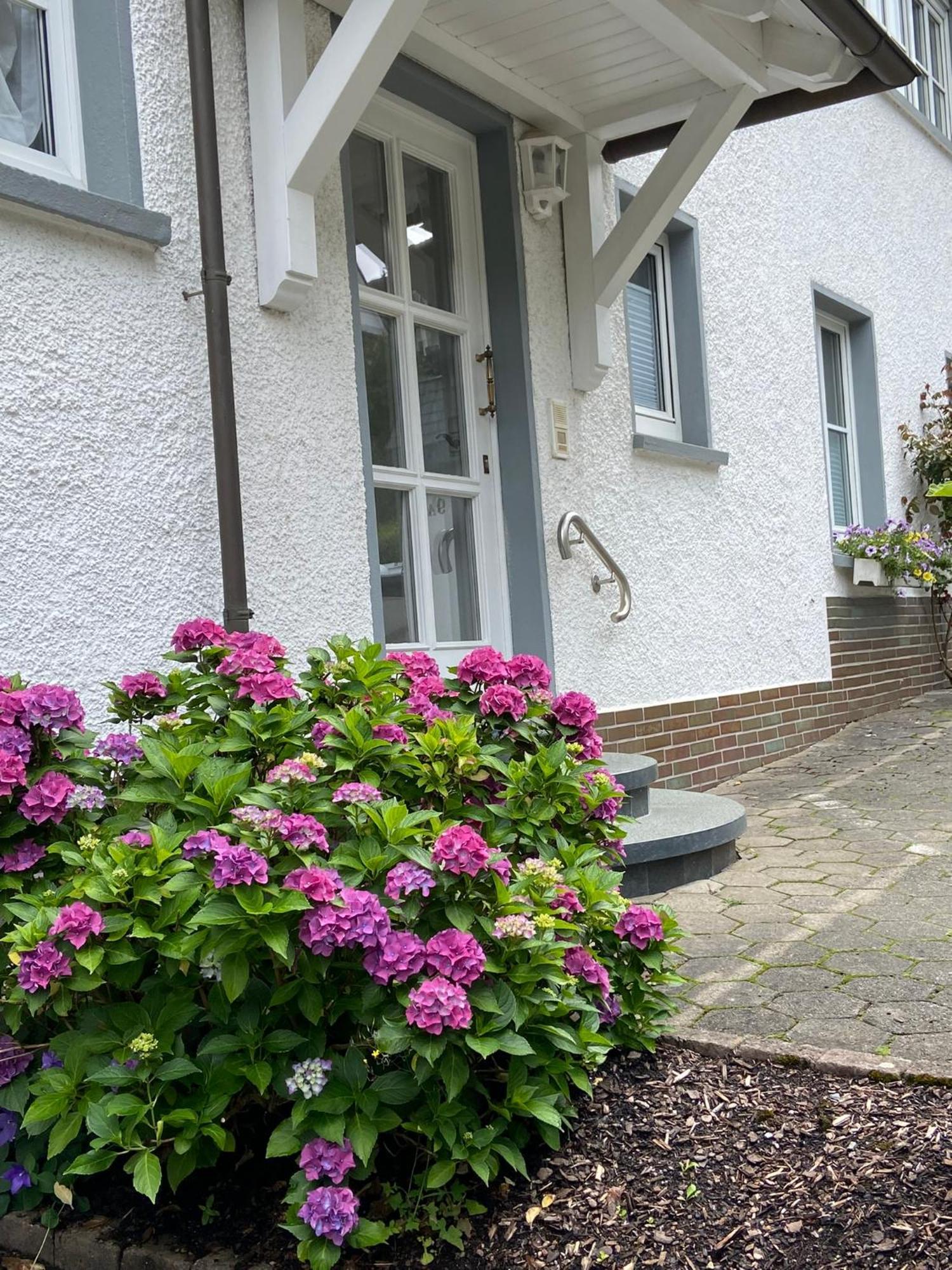Pension / Ferienwohnung Allebrodt Lennestadt Exterior foto